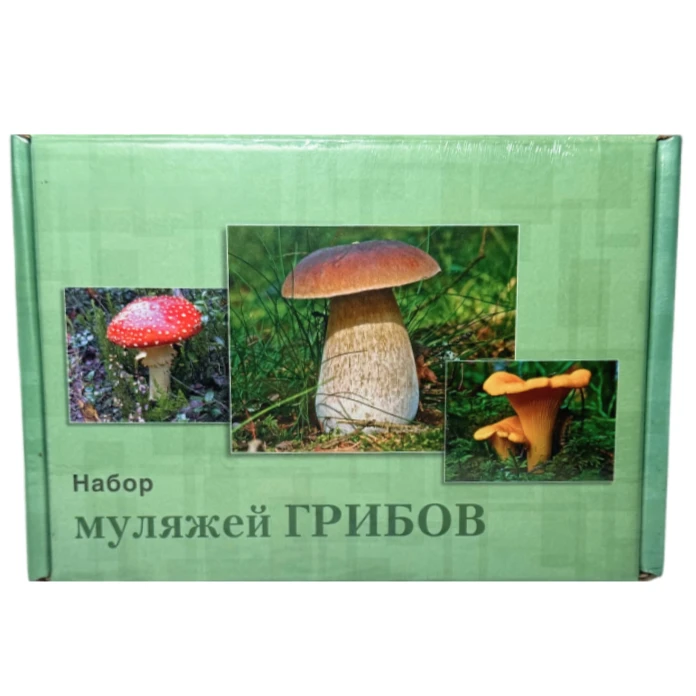 Муляжи съедобных и ядовитых грибов
