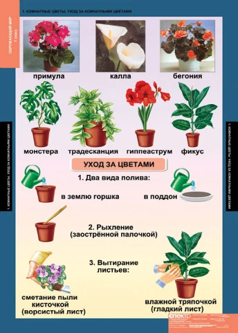 Учебный альбом из 15 листов «Окружающий мир 1 класс»