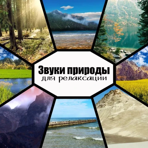 Комплект аудио-, видеозаписей