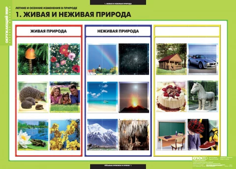 Учебный альбом из 13 листов и 32 карт. «Окружающий мир. Летние и осенние изменения в природе»