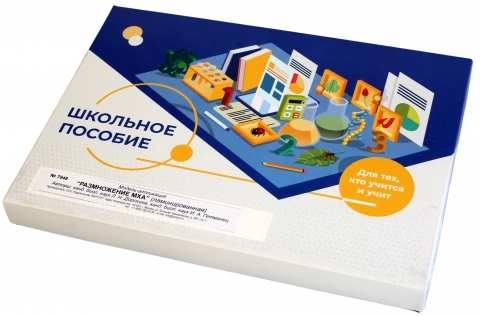 Модель-аппликация <Размножение мха>