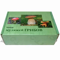 Муляжи съедобных и ядовитых грибов